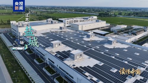 讀懂中國(guó) 歐洲青年體驗(yàn)中國(guó)式現(xiàn)代化丨前進(jìn) 新能源汽車 鹽城推廣服務(wù)