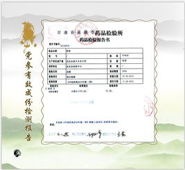 張掖民樂(lè)縣 守正創(chuàng)新筑基石，嚴(yán)把質(zhì)量?jī)傻狸P(guān)